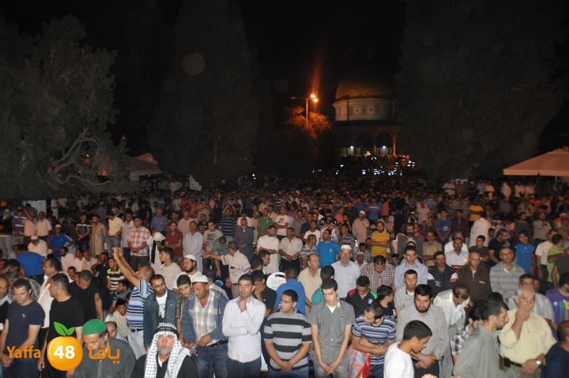 lud trawer7 aqsa 805 (6).JPG